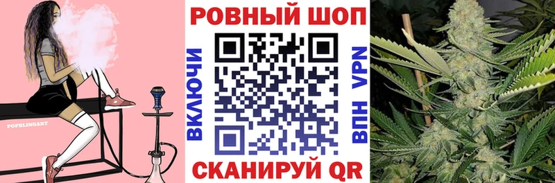 Купить закладку СК  Мефедрон  Псилоцибиновые грибы  Гашиш  Новозыбков