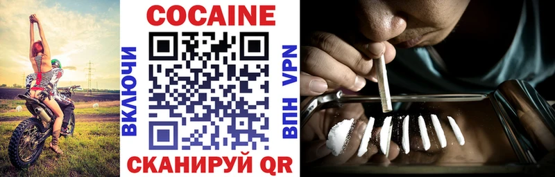 Купить закладки  Новозыбков  COCAIN VHQ 