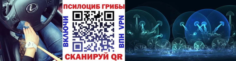 Купить  Новозыбков  Псилоцибиновые грибы Magic Shrooms 